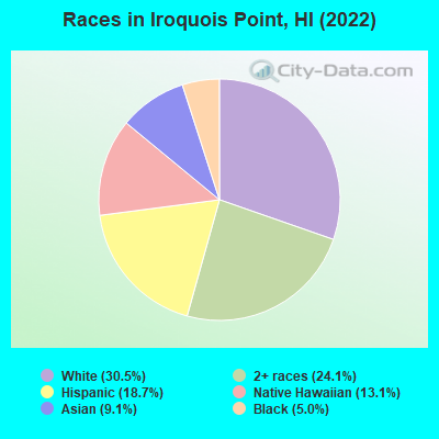 Races in Iroquois Point, HI (2022)