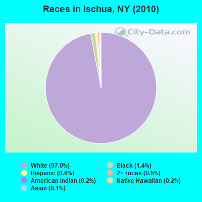 Races in Ischua, NY (2010)
