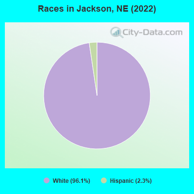 Races in Jackson, NE (2019)