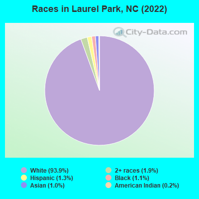 Races in Laurel Park, NC (2019)