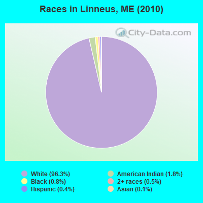 Races in Linneus, ME (2010)