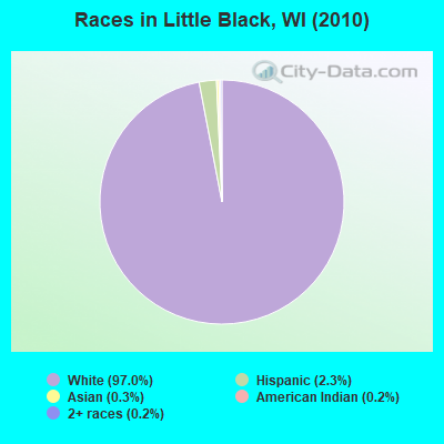 Races in Little Black, WI (2010)