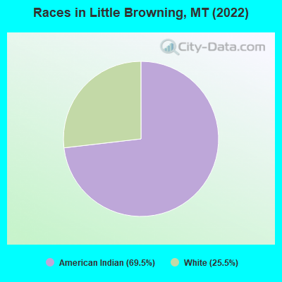 Races in Little Browning, MT (2019)