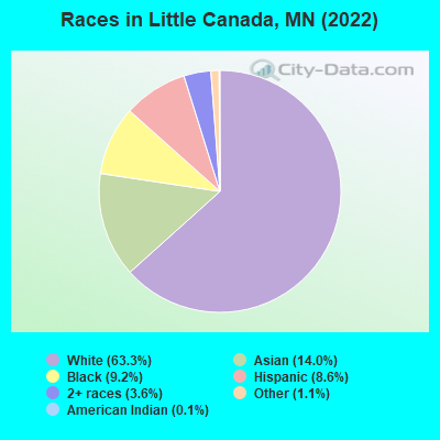 Races in Little Canada, MN (2019)
