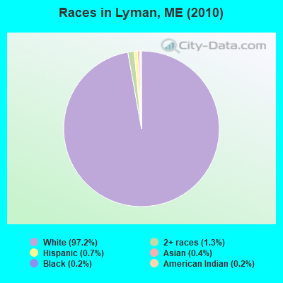 Races in Lyman, ME (2010)