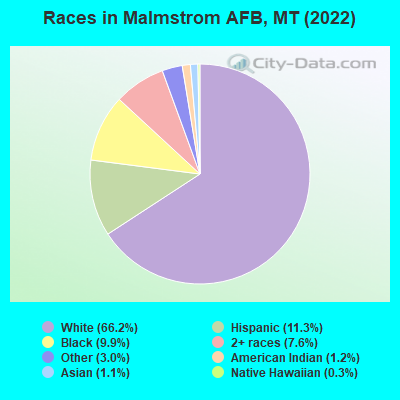 Races in Malmstrom AFB, MT (2022)