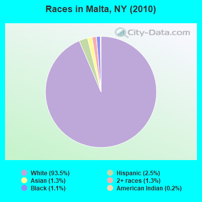 Races in Malta, NY (2010)