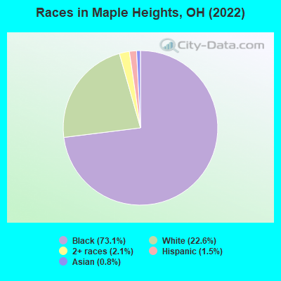 Races in Maple Heights, OH (2021)