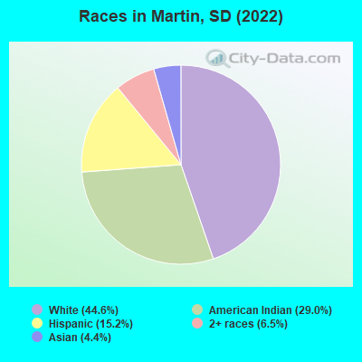 Races in Martin, SD (2019)