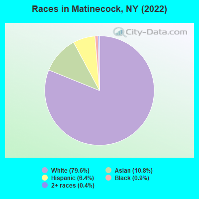 Races in Matinecock, NY (2019)