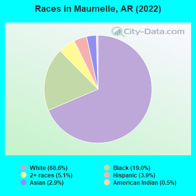 Races in Maumelle, AR (2021)