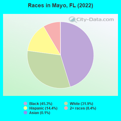 Races in Mayo, FL (2019)