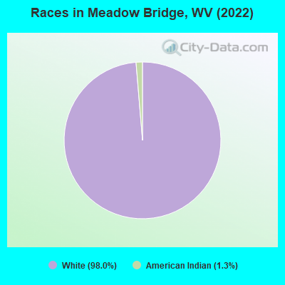 Races in Meadow Bridge, WV (2022)