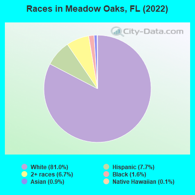 Races in Meadow Oaks, FL (2022)