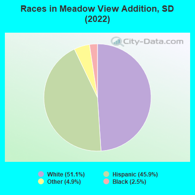 Races in Meadow View Addition, SD (2022)