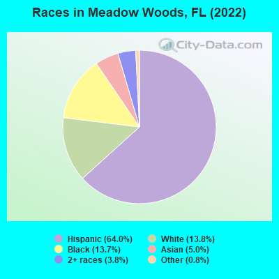 Races in Meadow Woods, FL (2022)