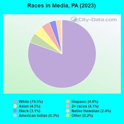 Races in Media, PA (2022)