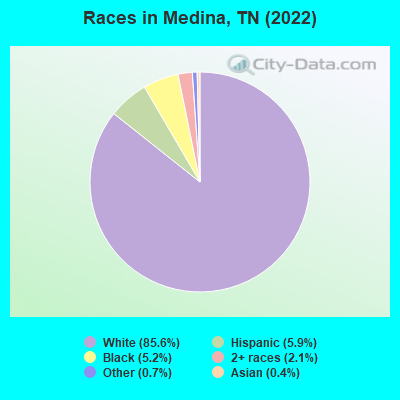 Races in Medina, TN (2022)