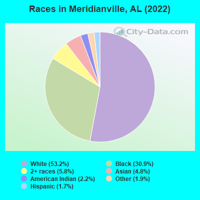 Races in Meridianville, AL (2019)