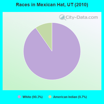 Races in Mexican Hat, UT (2010)