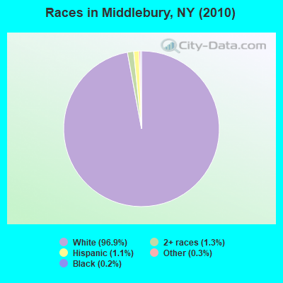 Races in Middlebury, NY (2010)