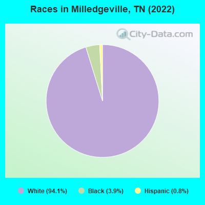 Races in Milledgeville, TN (2022)