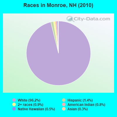 Races in Monroe, NH (2010)