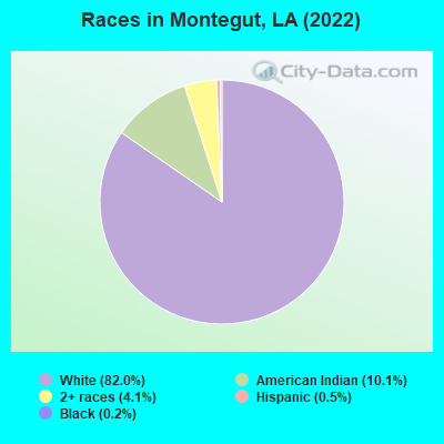 Races in Montegut, LA (2019)