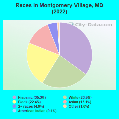 Races in Montgomery Village, MD (2022)