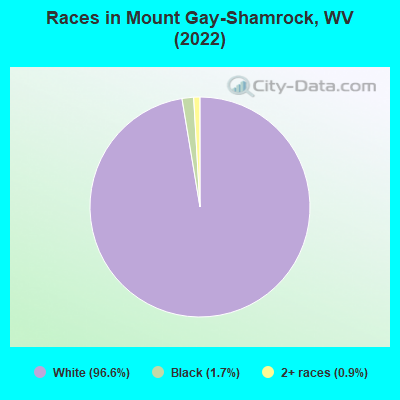 Races in Mount Gay-Shamrock, WV (2022)