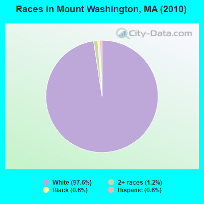 Races in Mount Washington, MA (2010)