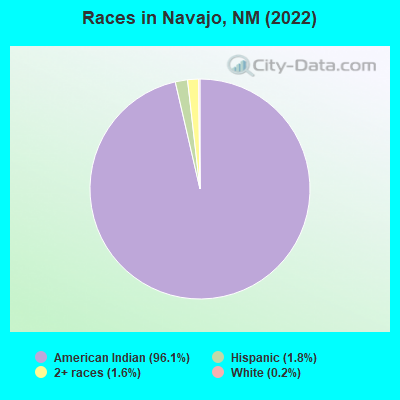Races in Navajo, NM (2022)