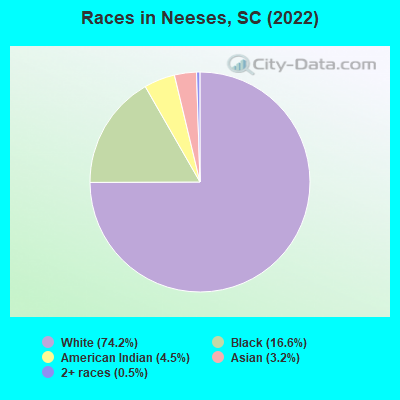 Races in Neeses, SC (2022)