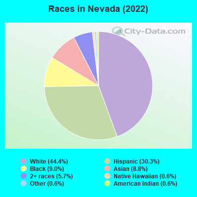 Races in Nevada (2022)