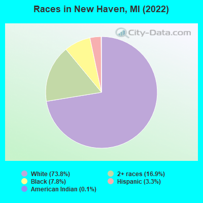 Races in New Haven, MI (2019)