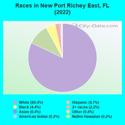 Races in New Port Richey East, FL (2019)