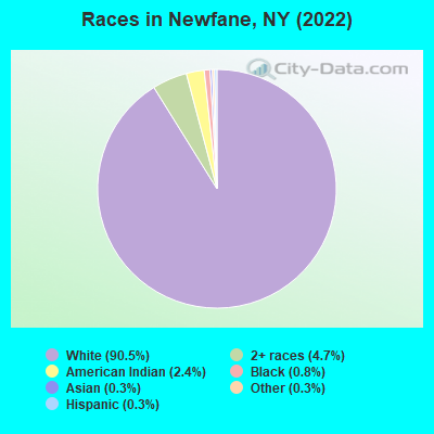Races in Newfane, NY (2022)