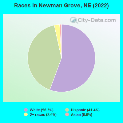 Races in Newman Grove, NE (2022)