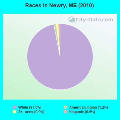 Races in Newry, ME (2010)
