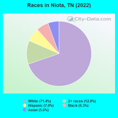 Races in Niota, TN (2019)