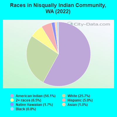 Races in Nisqually Indian Community, WA (2019)