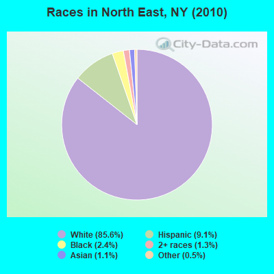 Races in North East, NY (2010)