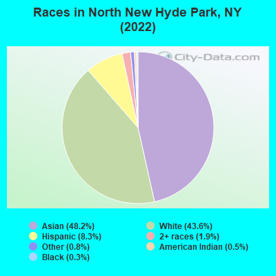 Races in North New Hyde Park, NY (2022)