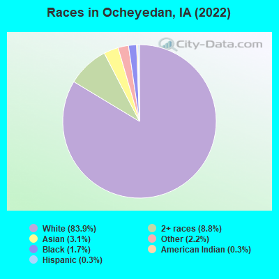 Races in Ocheyedan, IA (2022)