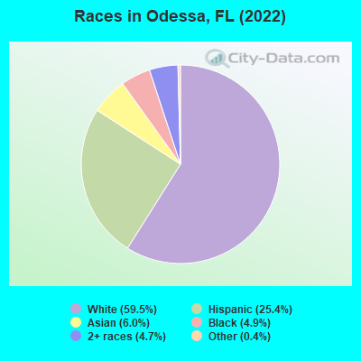 Races in Odessa, FL (2021)