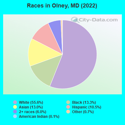 Races in Olney, MD (2019)