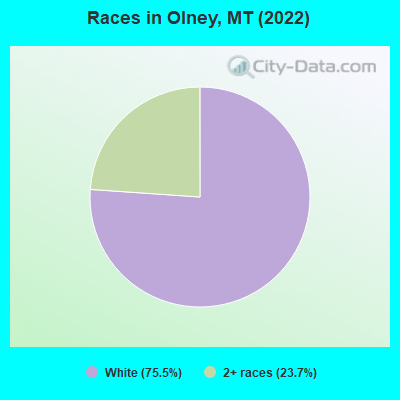 Races in Olney, MT (2022)
