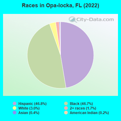 Races in Opa-locka, FL (2019)