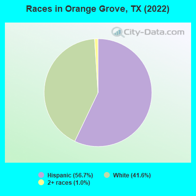Races in Orange Grove, TX (2019)