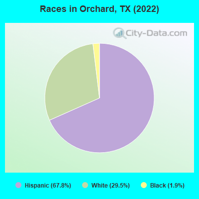 Races in Orchard, TX (2019)